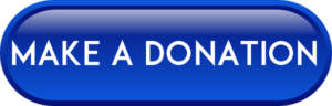 donation button blue-300x96